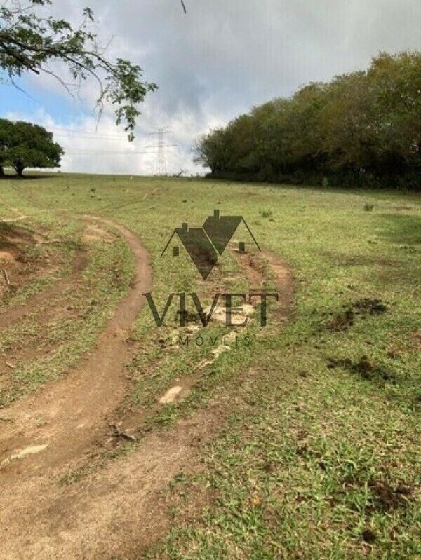 Chácara, 3 hectares - Foto 11