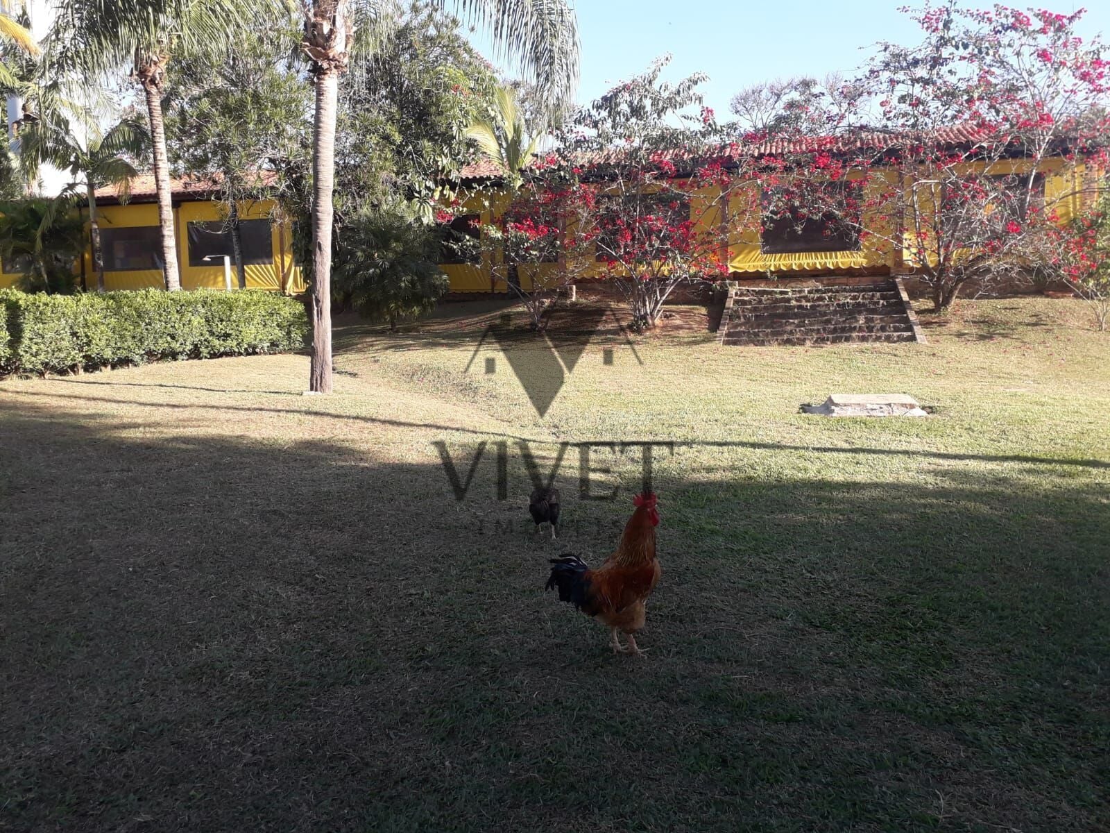 Loteamento e Condomínio, 5 hectares - Foto 11
