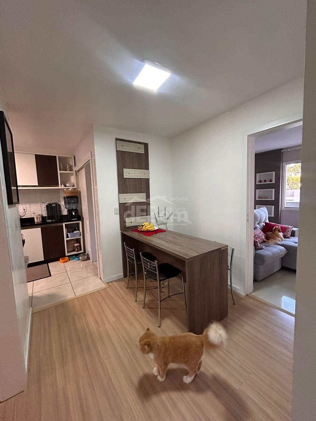 Apartamento, 3 quartos - Foto 11
