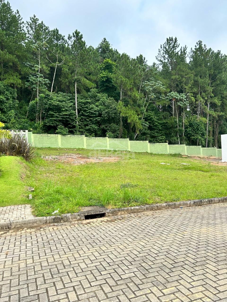 Terreno, 163 hectares - Foto 5