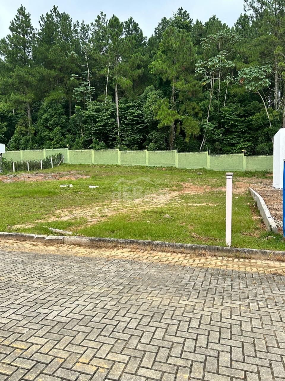Terreno, 163 hectares - Foto 4