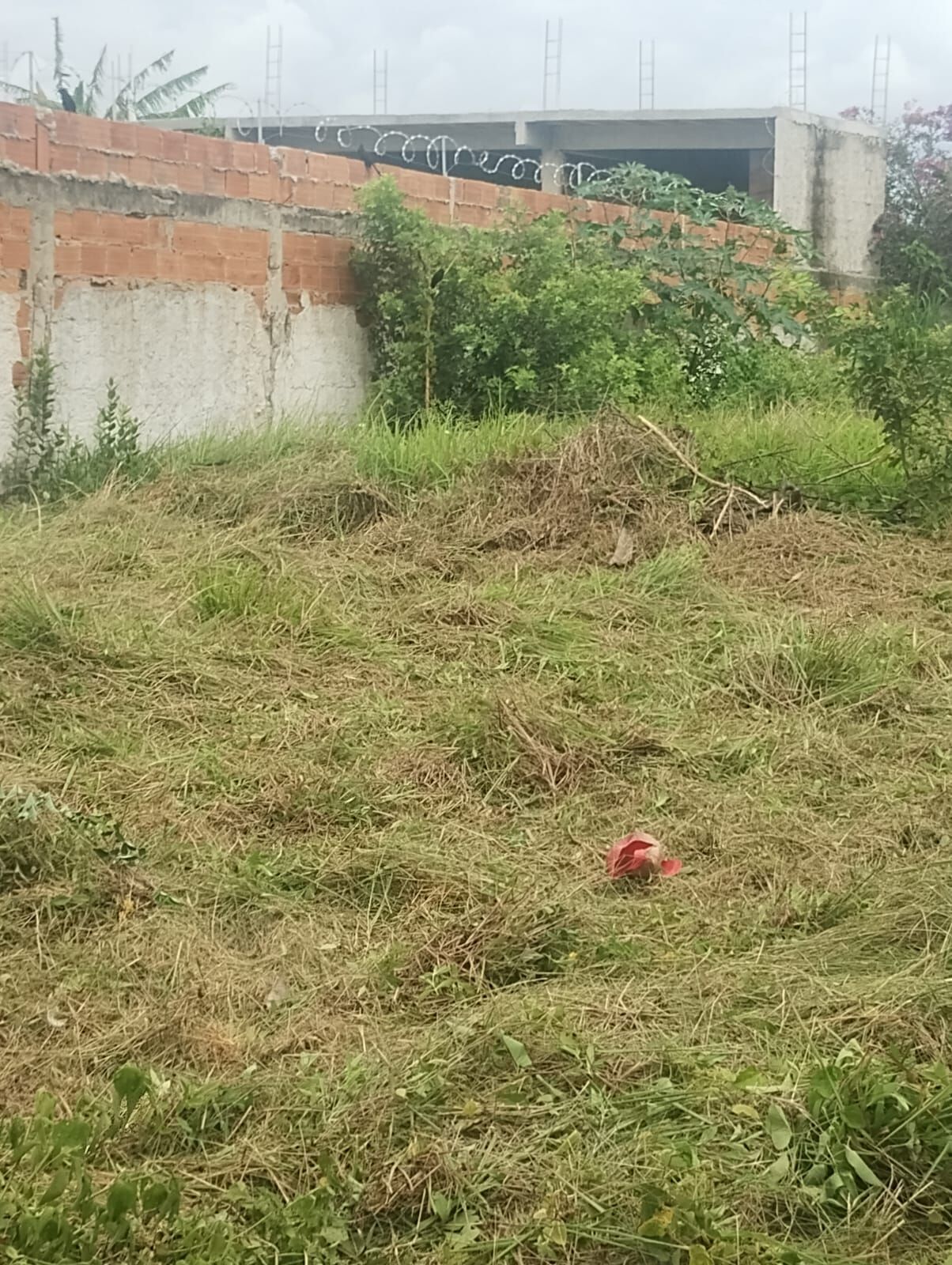 Imagem principal do imóvel