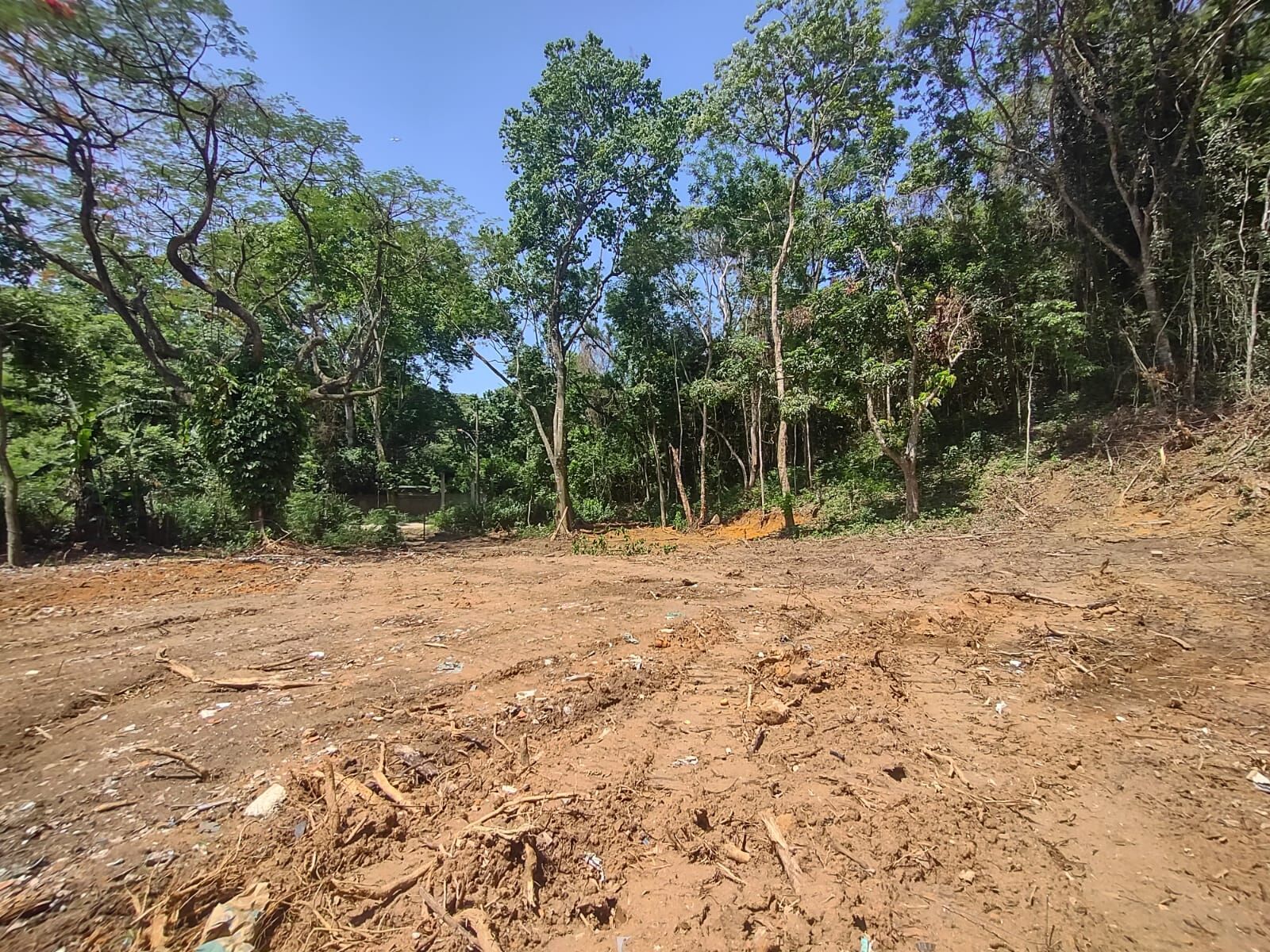 TERRENO