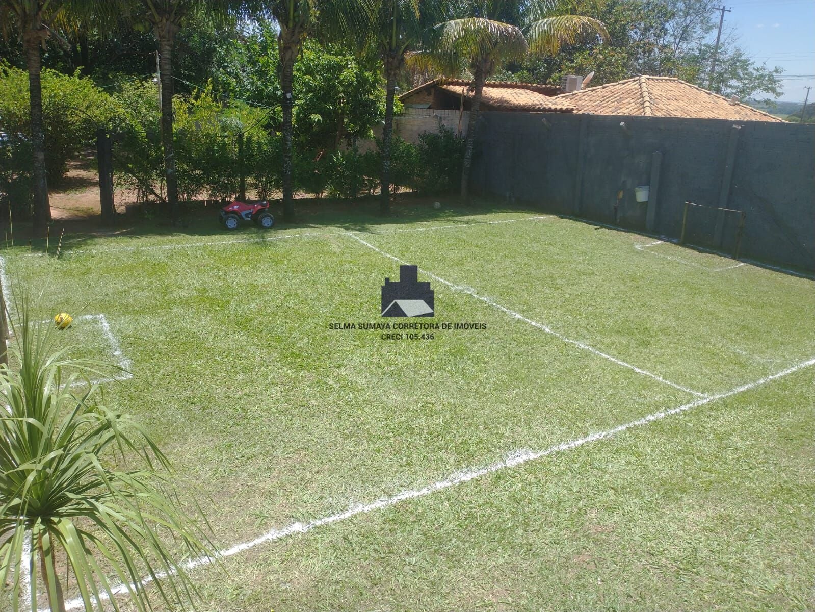 Fazenda / Sítio / Chácara com 2 quartos à venda, 1000m² — foto 8 de 18