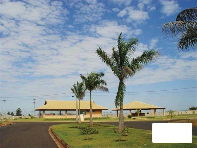 Terreno / Lote / Condomínio à venda, 711m² — foto 6 de 7