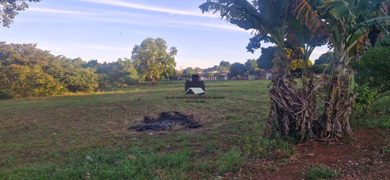 Terreno / Lote / Condomínio à venda, 45734m² — foto 4 de 4