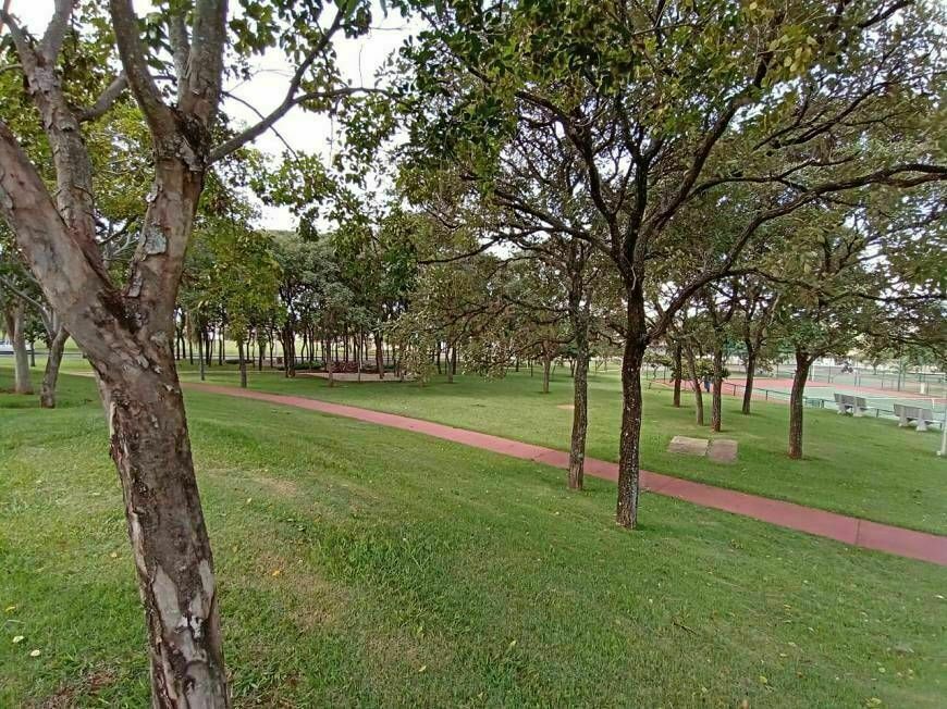 Terreno / Lote / Condomínio à venda, 405m² — foto 10 de 19