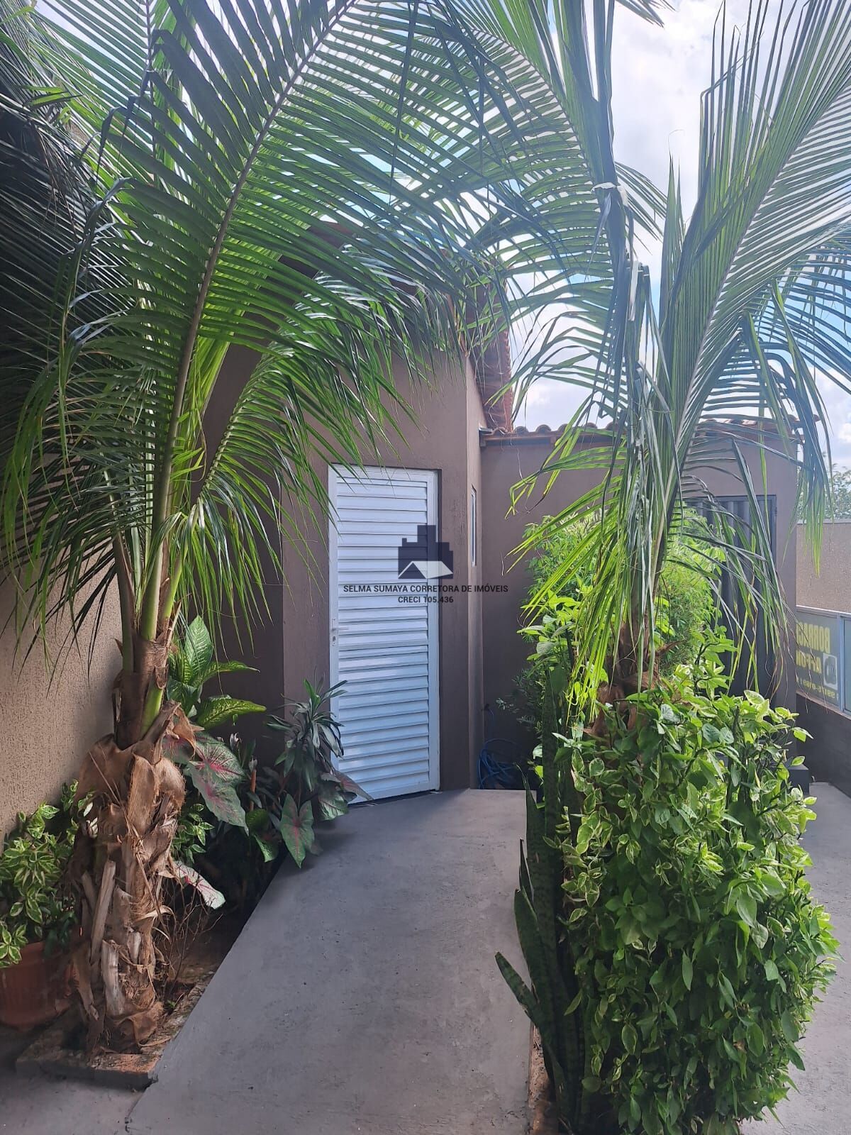 Fazenda / Sítio / Chácara com 2 quartos à venda, 1000m² — foto 24 de 40