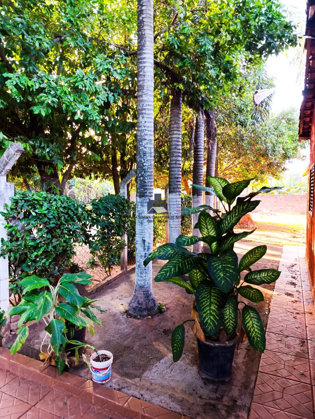 Fazenda / Sítio / Chácara com 5 quartos à venda, 2000m² — foto 6 de 15
