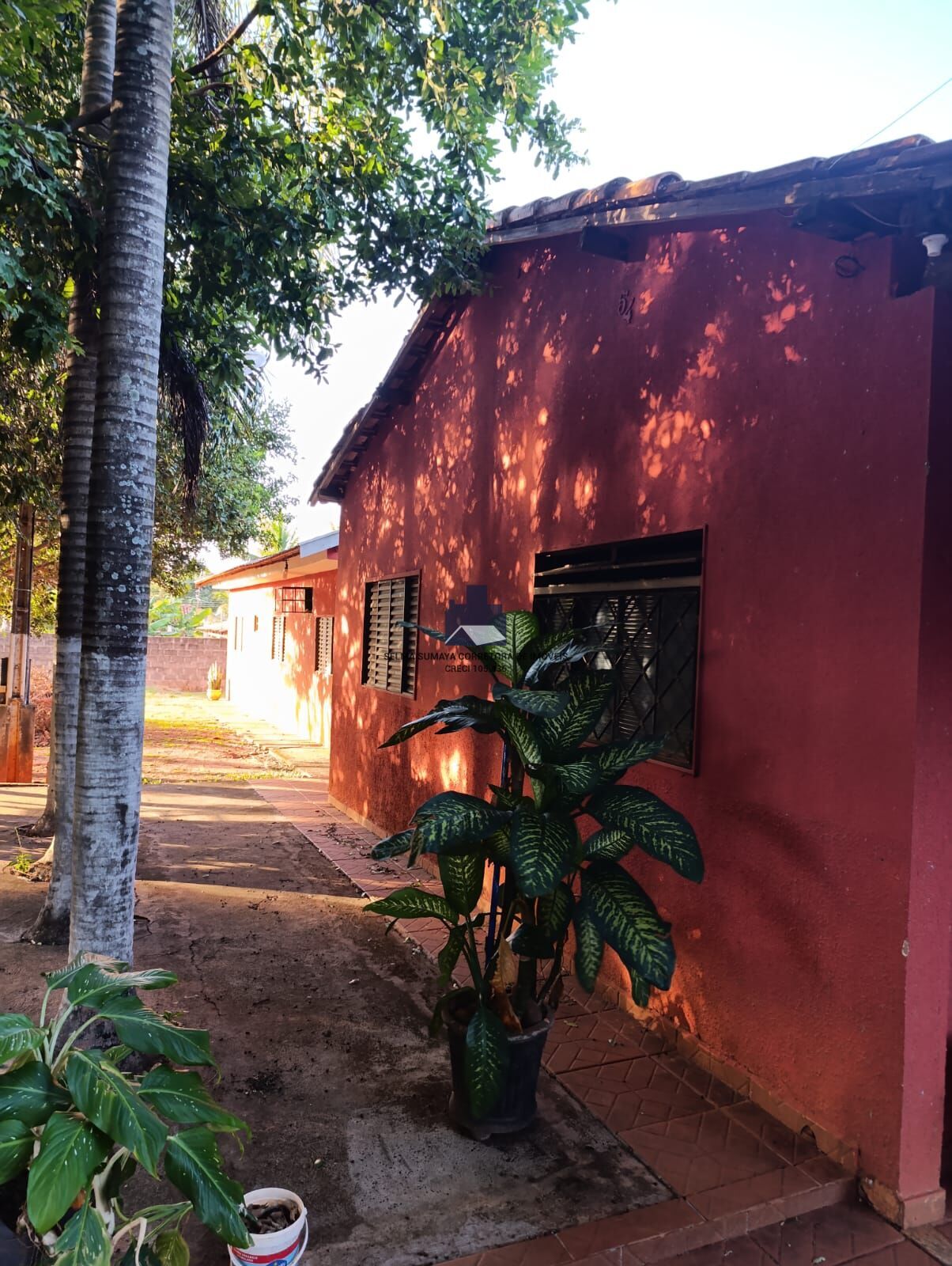 Fazenda / Sítio / Chácara com 5 quartos à venda, 2000m² — foto 12 de 15
