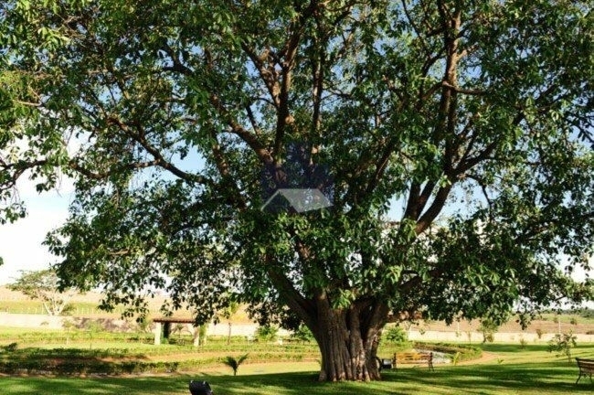 Terreno / Lote / Condomínio à venda, 766m² — foto 18 de 18