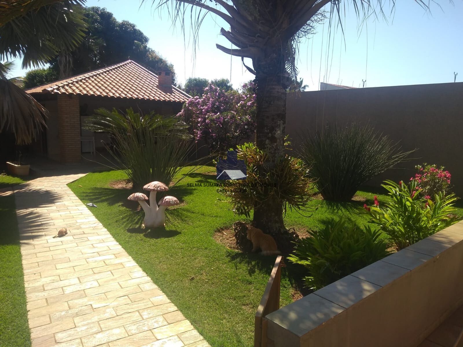Casa com 3 quartos à venda, 300m² — foto 6 de 15