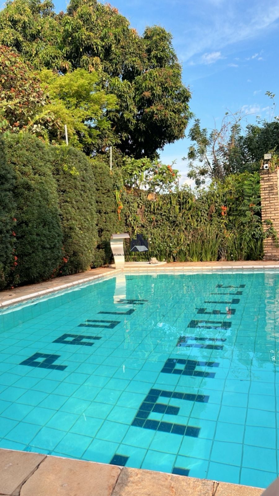 Fazenda / Sítio / Chácara com 2 quartos à venda, 1000m² — foto 4 de 20