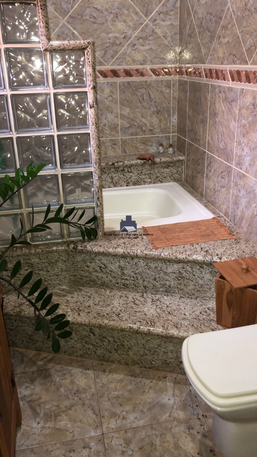 Fazenda / Sítio / Chácara com 2 quartos à venda, 1000m² — foto 7 de 20