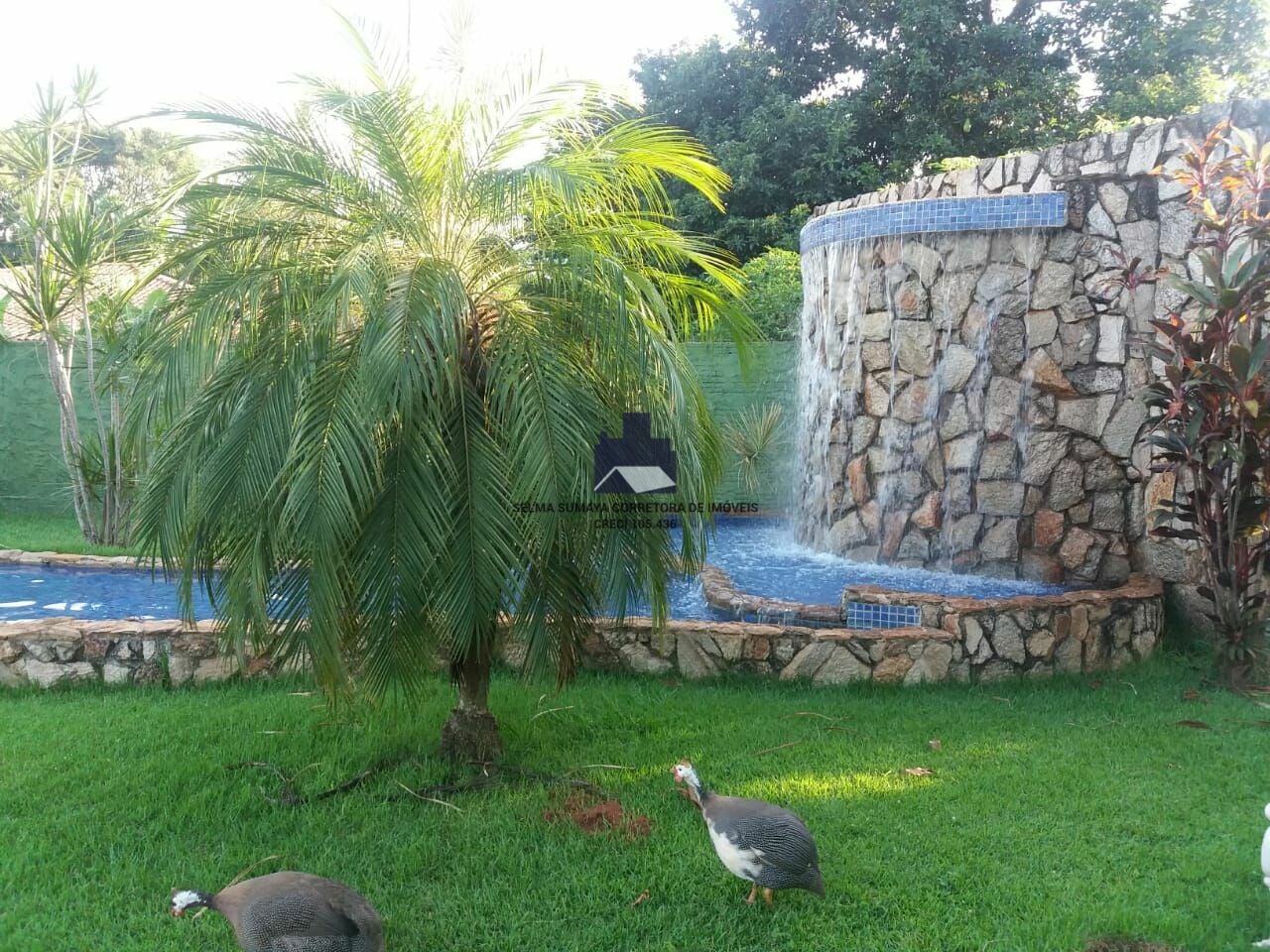 Fazenda / Sítio / Chácara com 3 quartos à venda, 2300m² — foto 12 de 20