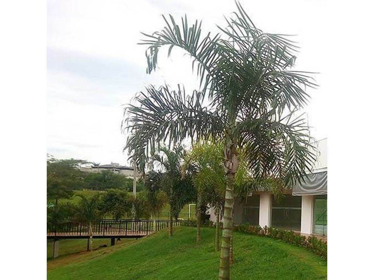 Terreno / Lote / Condomínio à venda, 400m² — foto 9 de 10