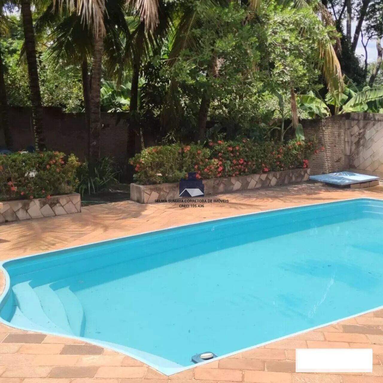 Fazenda / Sítio / Chácara com 4 quartos à venda, 850m² — foto 11 de 20