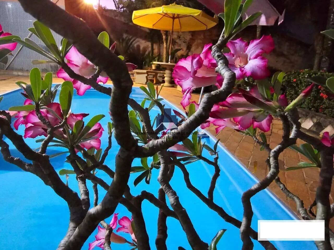 Fazenda / Sítio / Chácara com 4 quartos à venda, 850m² — foto 20 de 20
