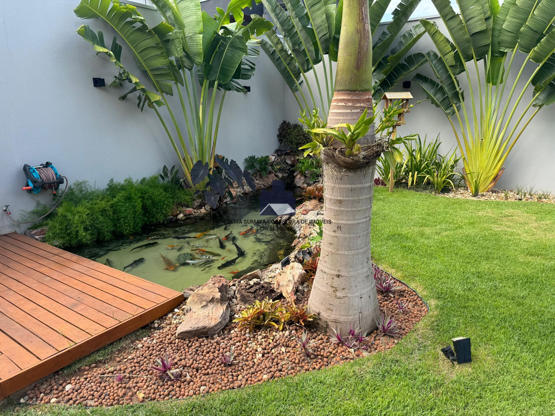 Fazenda / Sítio / Chácara com 3 quartos à venda, 600m² — foto 8 de 15