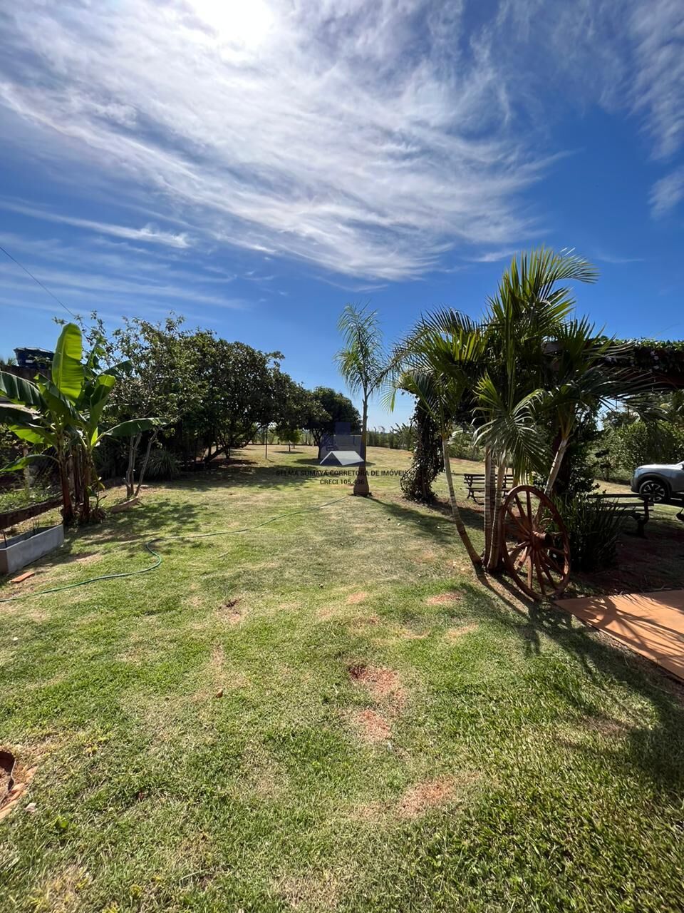 Fazenda / Sítio / Chácara com 3 quartos à venda, 200m² — foto 6 de 12