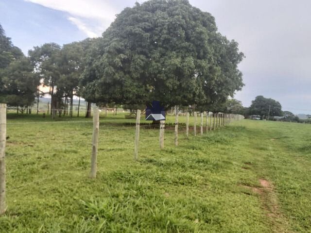 Terreno / Lote / Condomínio à venda, 57500m² — foto 10 de 33