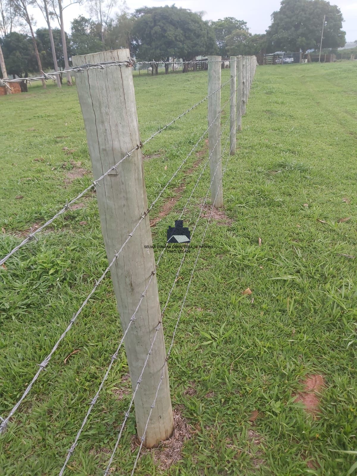 Terreno / Lote / Condomínio à venda, 57500m² — foto 25 de 33