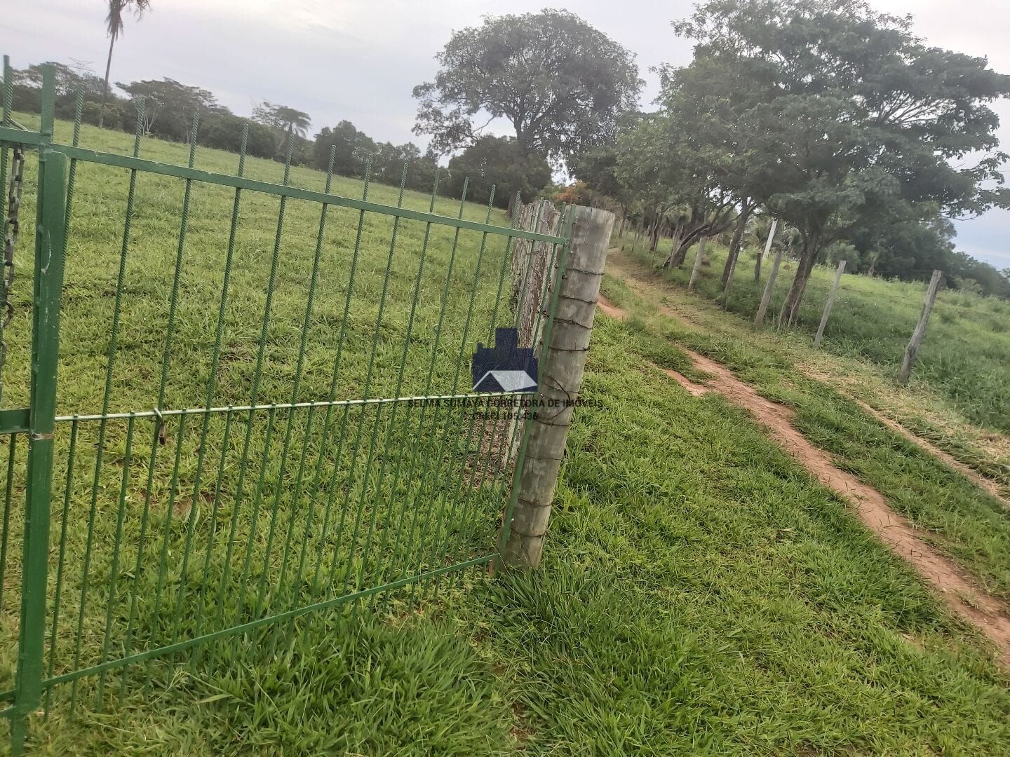Terreno / Lote / Condomínio à venda, 57500m² — foto 24 de 33