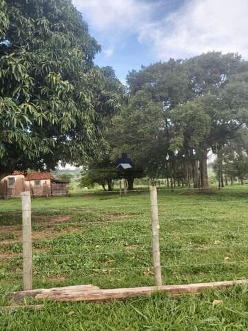 Terreno / Lote / Condomínio à venda, 57500m² — foto 5 de 33