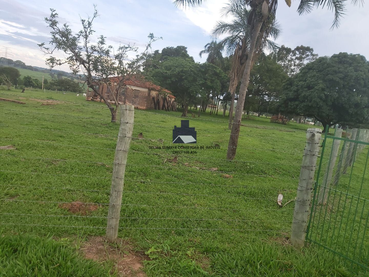 Terreno / Lote / Condomínio à venda, 57500m² — foto 20 de 33