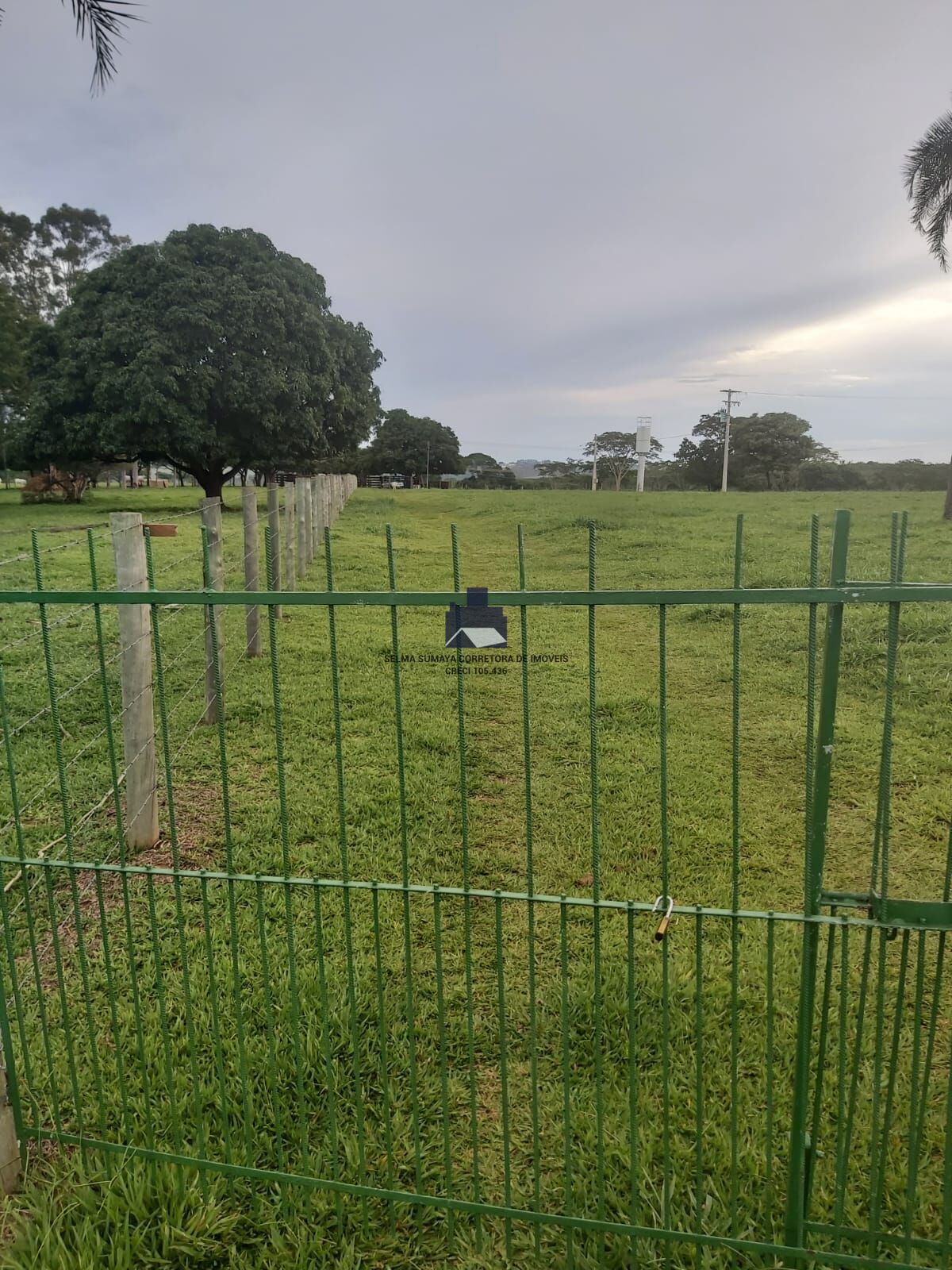 Terreno / Lote / Condomínio à venda, 57500m² — foto 31 de 33