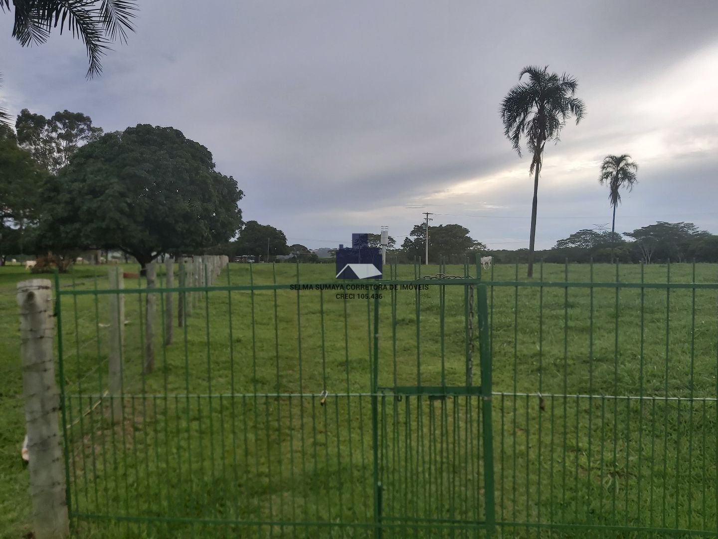 Terreno / Lote / Condomínio à venda, 57500m² — foto 26 de 33