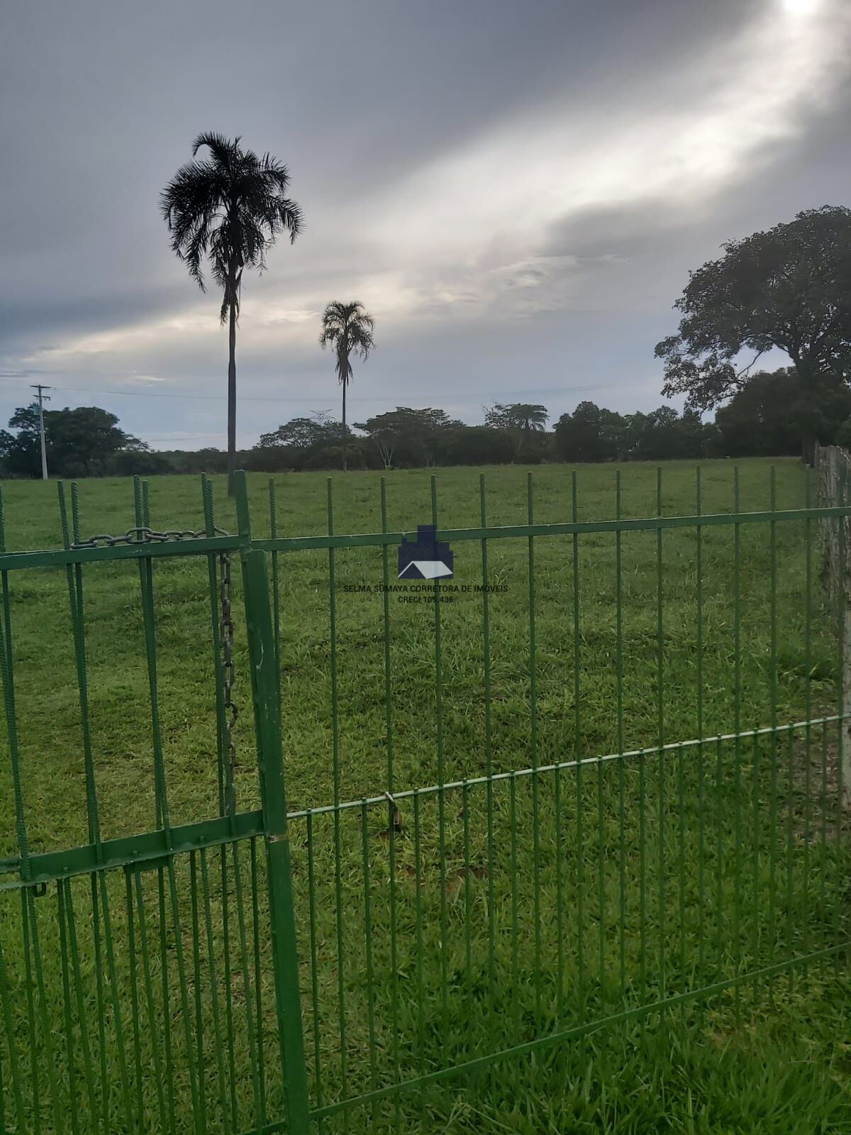 Terreno / Lote / Condomínio à venda, 57500m² — foto 29 de 33