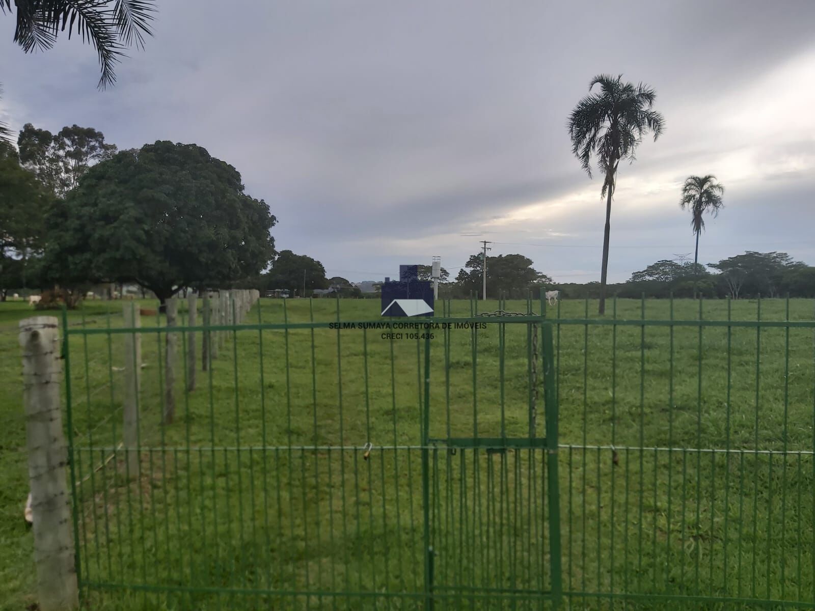 Terreno / Lote / Condomínio à venda, 57500m² — foto 32 de 33