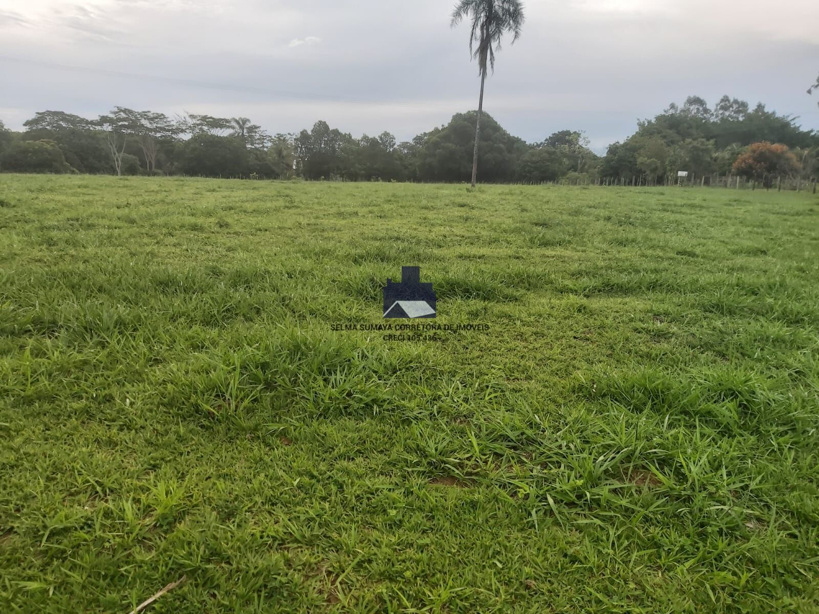 Terreno / Lote / Condomínio à venda, 57500m² — foto 22 de 33