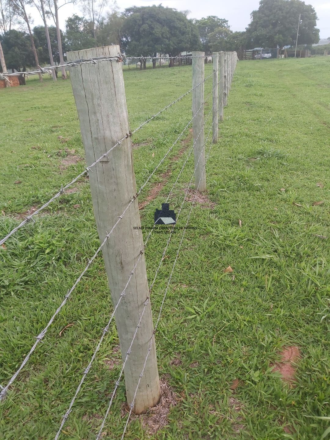 Terreno / Lote / Condomínio à venda, 57500m² — foto 21 de 33