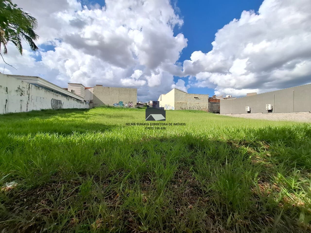 Terreno / Lote / Condomínio à venda, 2000m² — foto 5 de 5