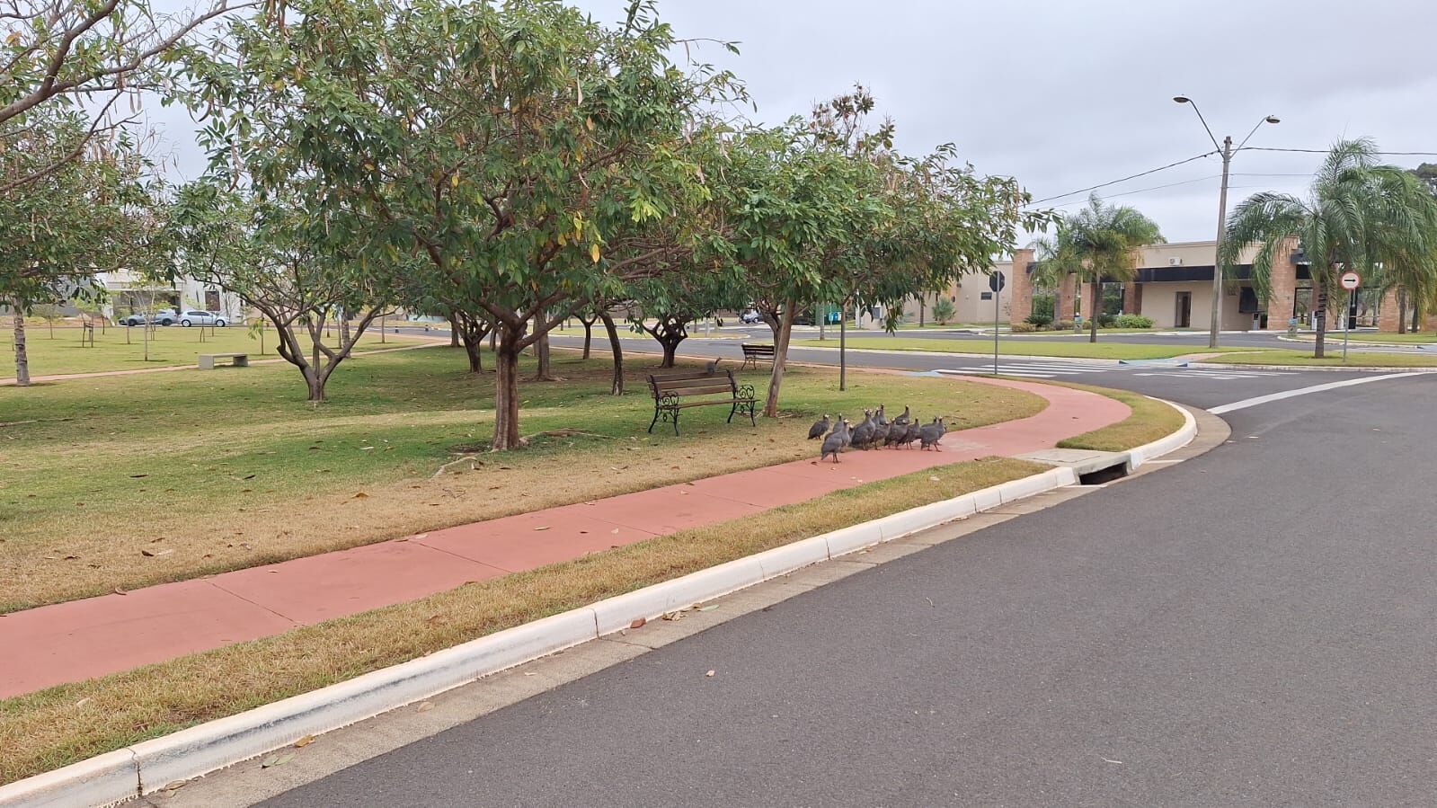 Terreno / Lote / Condomínio à venda, 287m² — foto 9 de 17