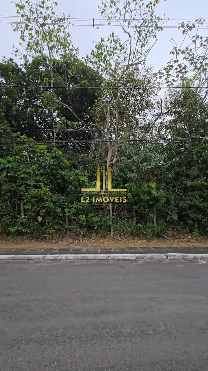 Terreno, 9000 m² - Foto 12