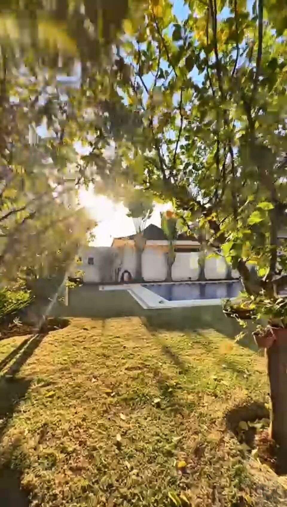 Casa, 4 quartos, 390 m² - Foto 3