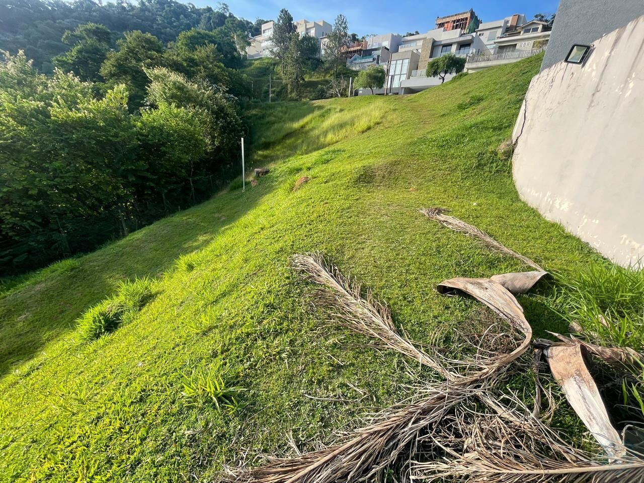 Terreno, 619 m² - Foto 5