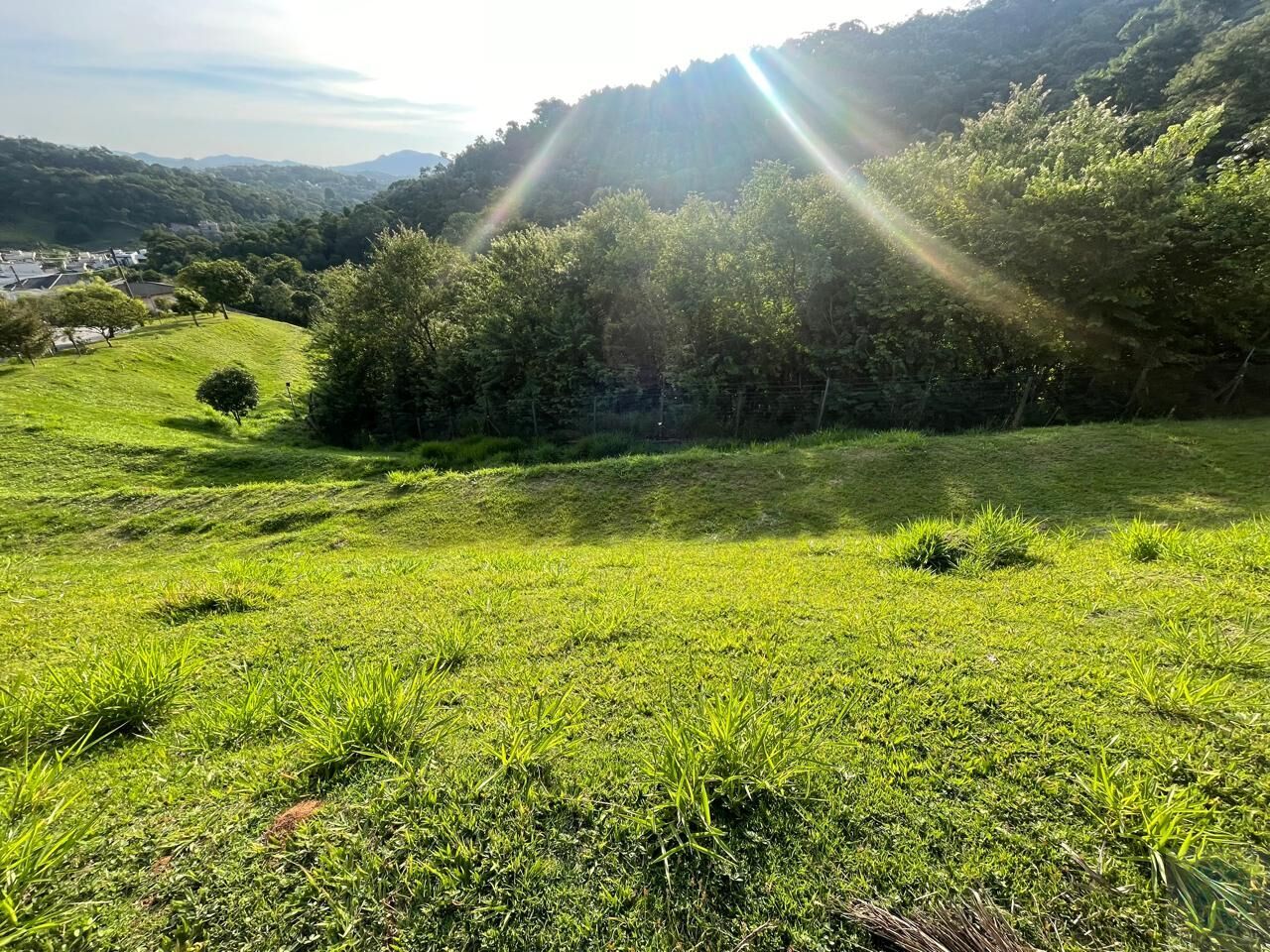 Terreno, 619 m² - Foto 2