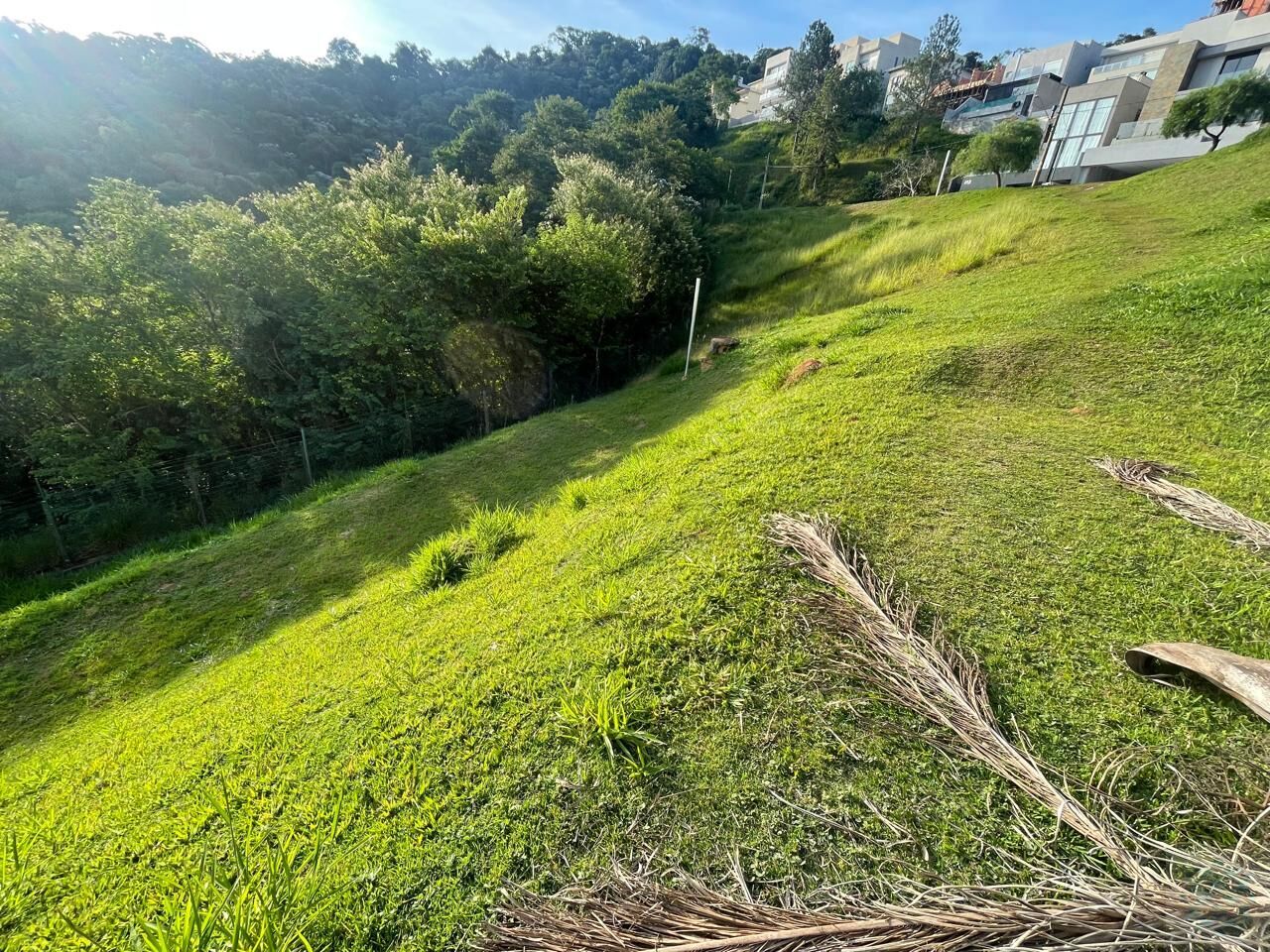 Terreno, 619 m² - Foto 3