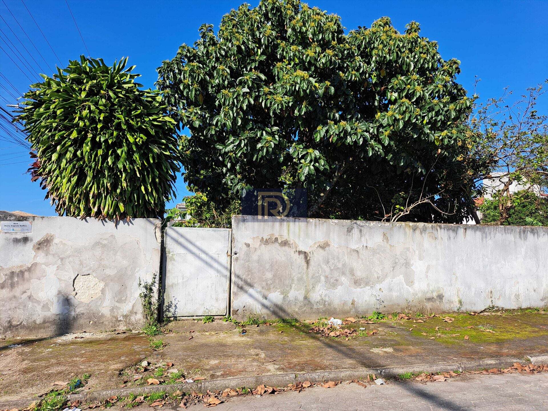 Terreno, 300 m² - Foto 7
