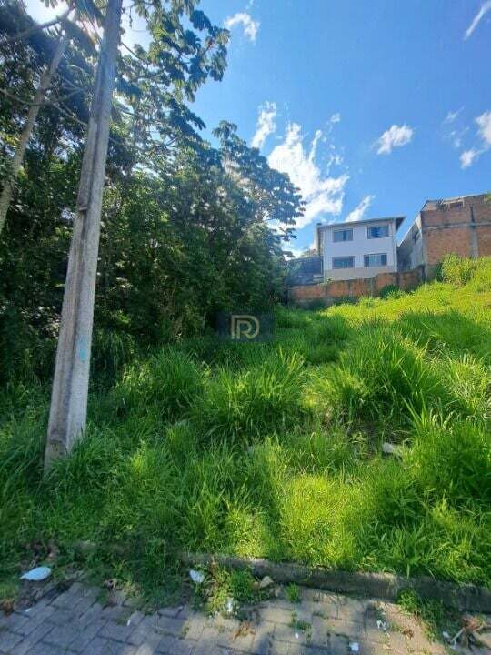 Terreno, 250 m² - Foto 13