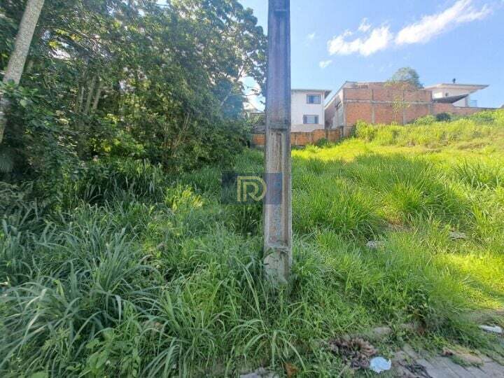 Terreno, 250 m² - Foto 6
