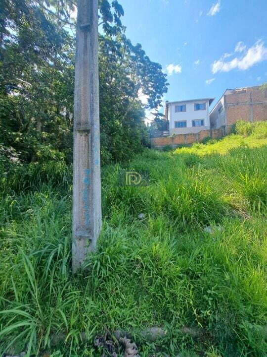 Terreno, 250 m² - Foto 12