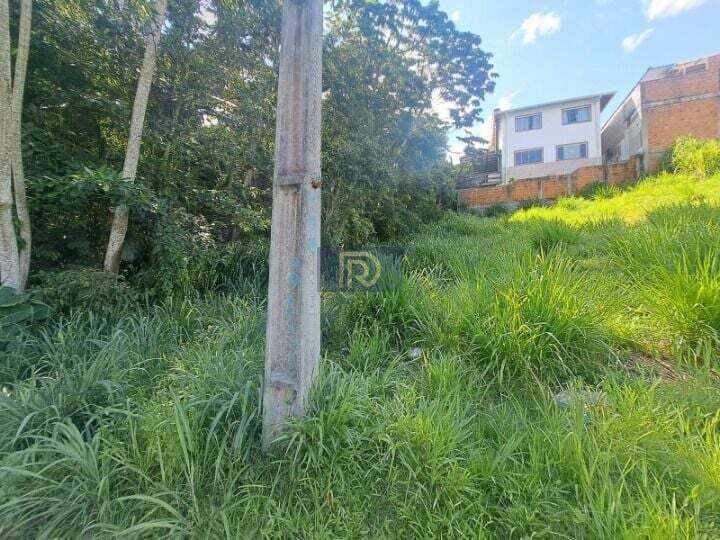 Terreno, 250 m² - Foto 16