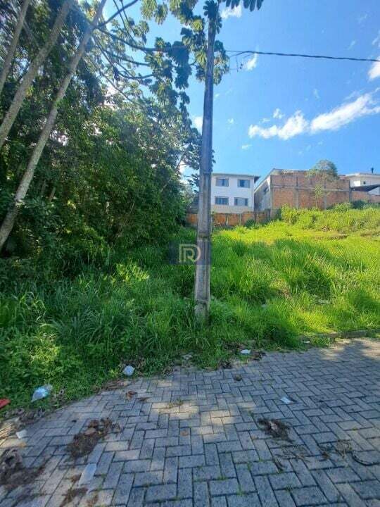 Terreno, 250 m² - Foto 19