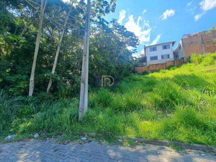 Terreno, 250 m² - Foto 18