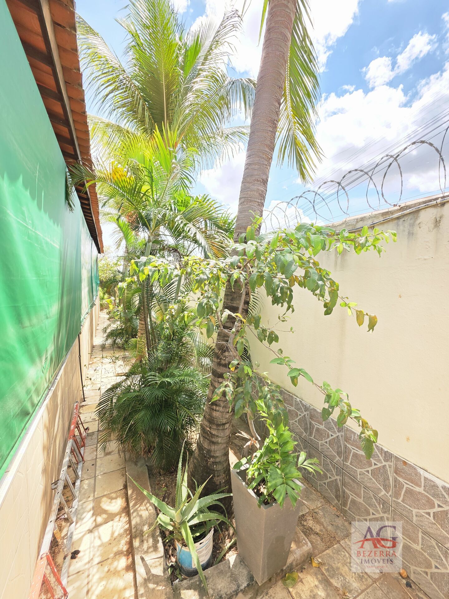 Casa, 3 quartos, 480 m² - Foto 3